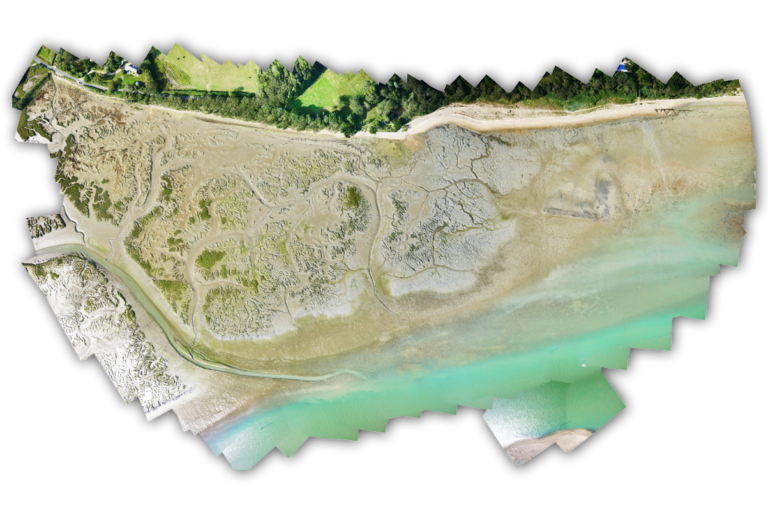 WingtraOne data orthophoto of seagrass along a shoreline