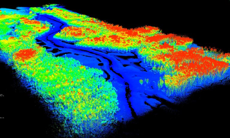 Dense forest LIDAR data set