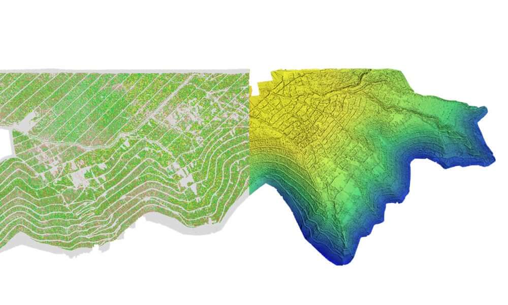 Un modelo de superficie digital a partir de datos de drones junto con datos multiespectrales y RGB ayuda a interpretar la variabilidad en un campo.