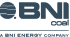BNI COAL blue logo