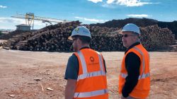 Idaho Forest Group stockpile volume
