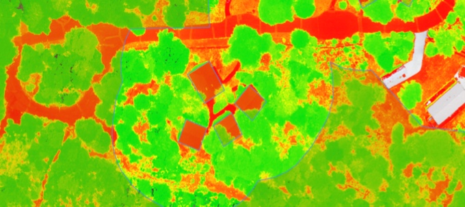 Forest mapping dataset