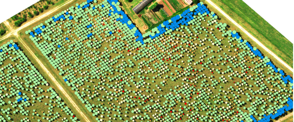 RGB + vector para contar plantas y calcular el tamaño de la copa de los árboles, cortesía de Micasense