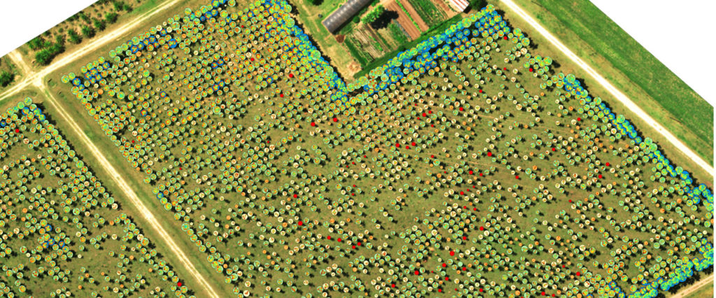 NDVI para calcular el número de árboles y calcular el vigor de la planta, cortesía de Micasense
