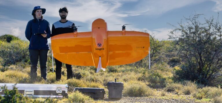 Natcarbon reforestation mapping