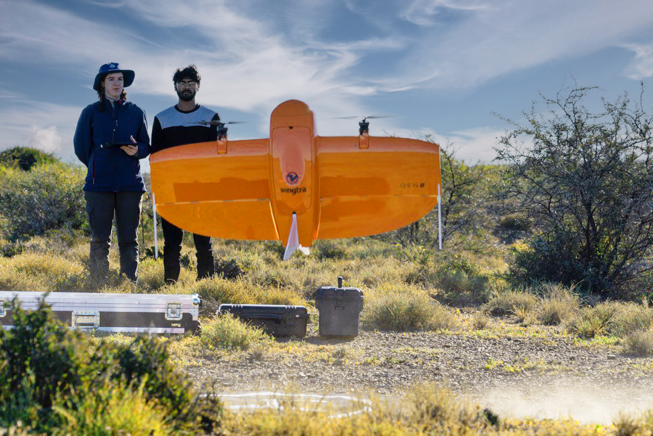 Natcarbon reforestation mapping