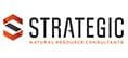 strategic consultants logo