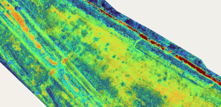 Mapeo de humedales en Argentina