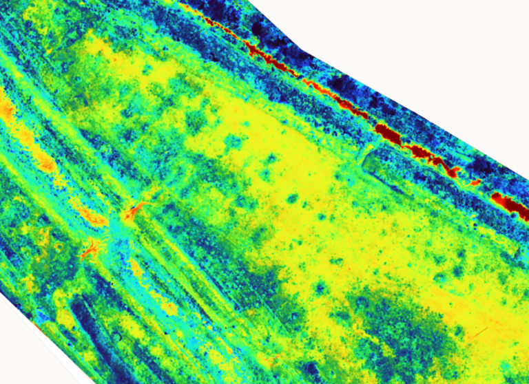 Mapeo Multiespectral - Humedal Argentina
