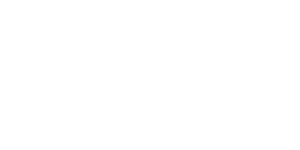WingtraOne GEN II illustration